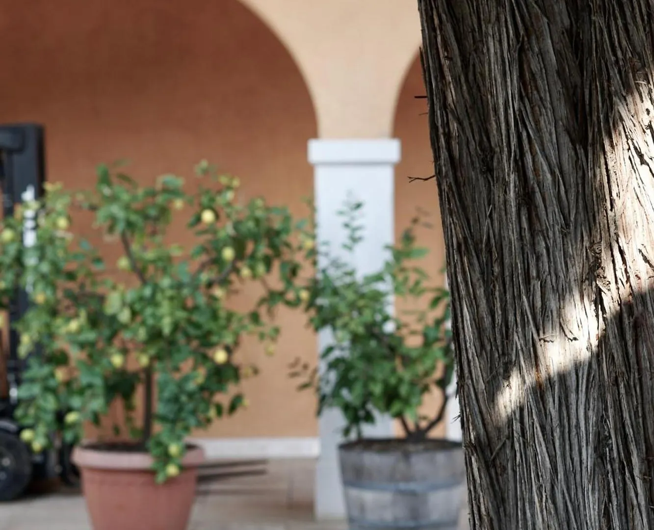 Agriturismo Valentina Cubi Fumane