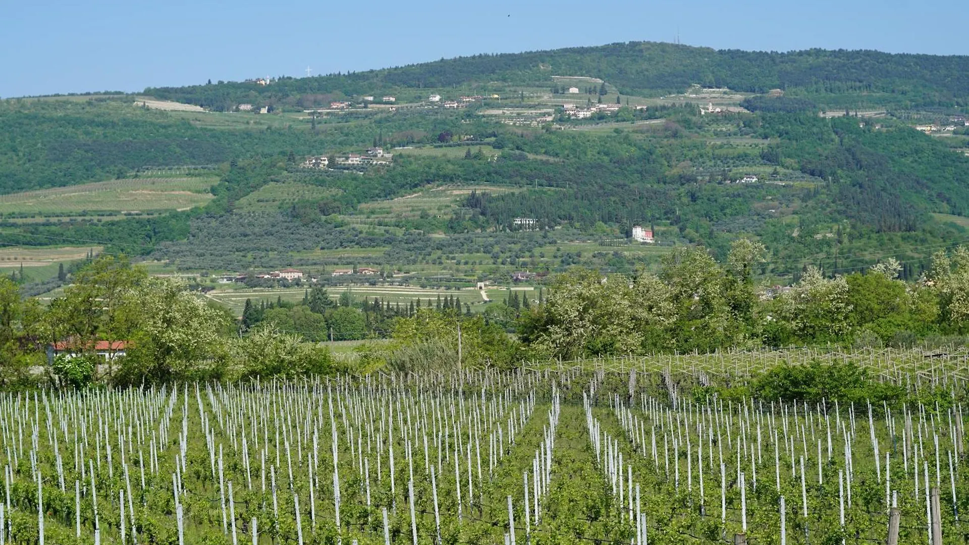 Agriturismo Valentina Cubi Fumane Séjour à la ferme
